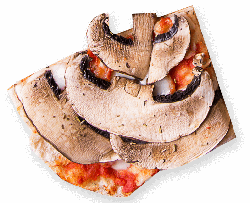 slice1